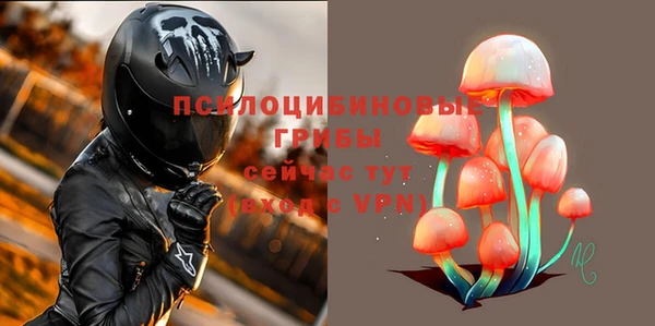 кокс Богородск