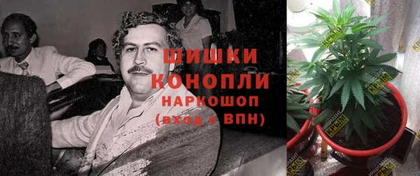 кокс Богородск