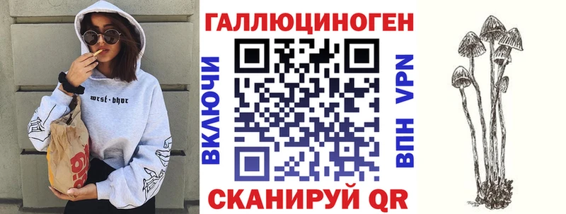 купить наркотики цена  Новоульяновск  Псилоцибиновые грибы Psilocybine cubensis 